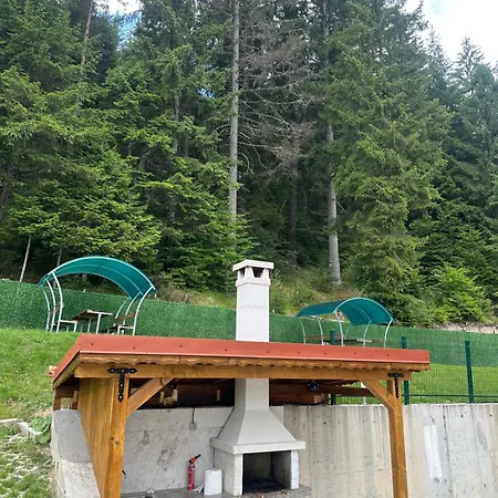Casa de hóspedes версай Sarnitsa